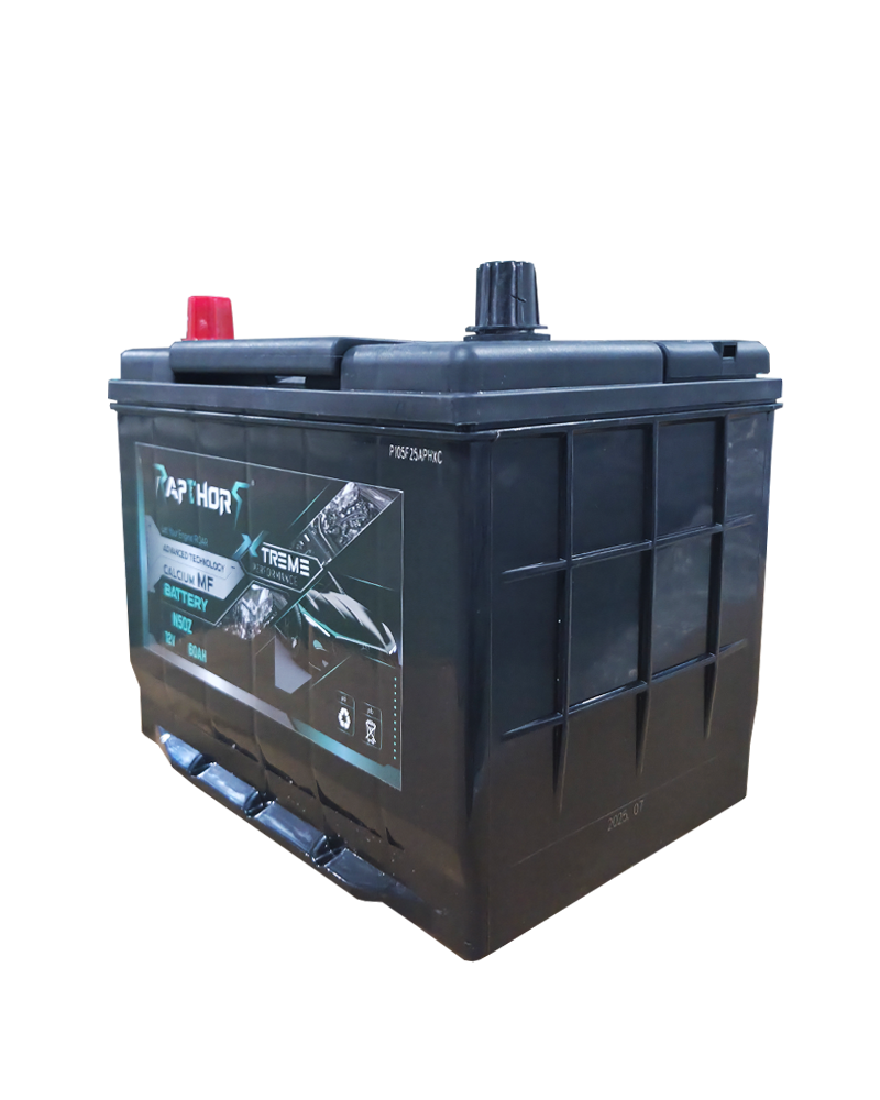 n50z samping kanan (kering)